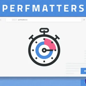 Perfmatters plugin