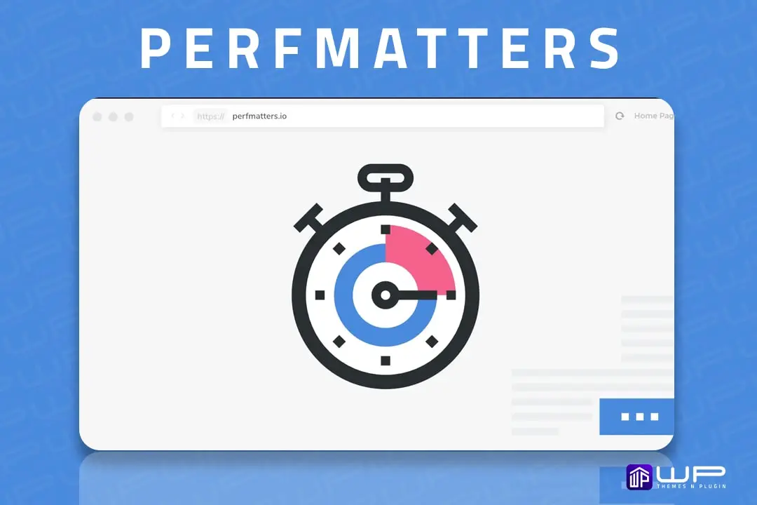 Perfmatters plugin